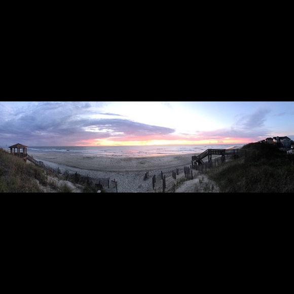 Meet your Posher, Sunnie - Picture 2 of 3